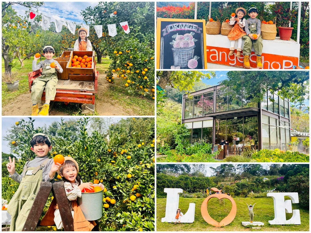 ★苗栗親子景點推薦★台版濟州島『橙香森林』橘子園，一年四季全