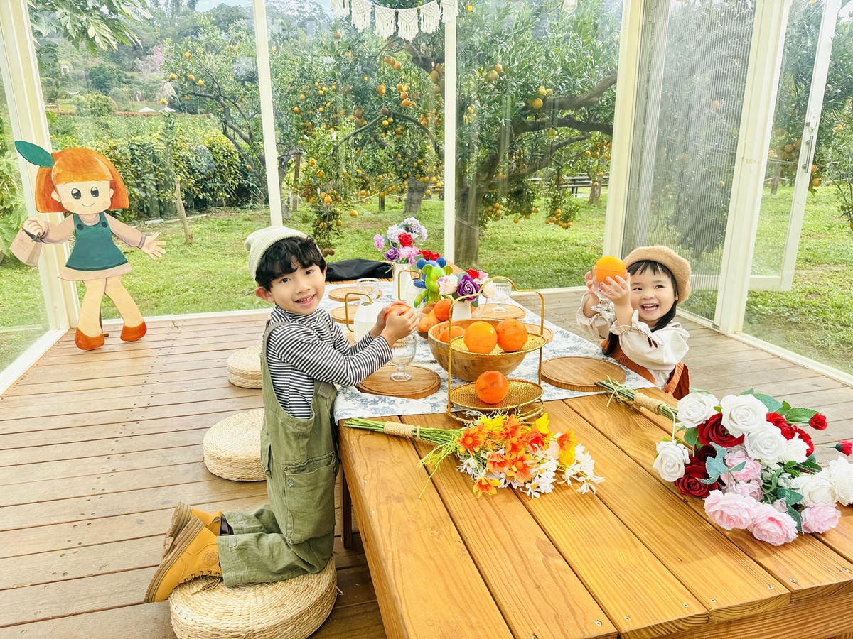 ★苗栗親子景點推薦★台版濟州島『橙香森林』橘子園，一年四季全