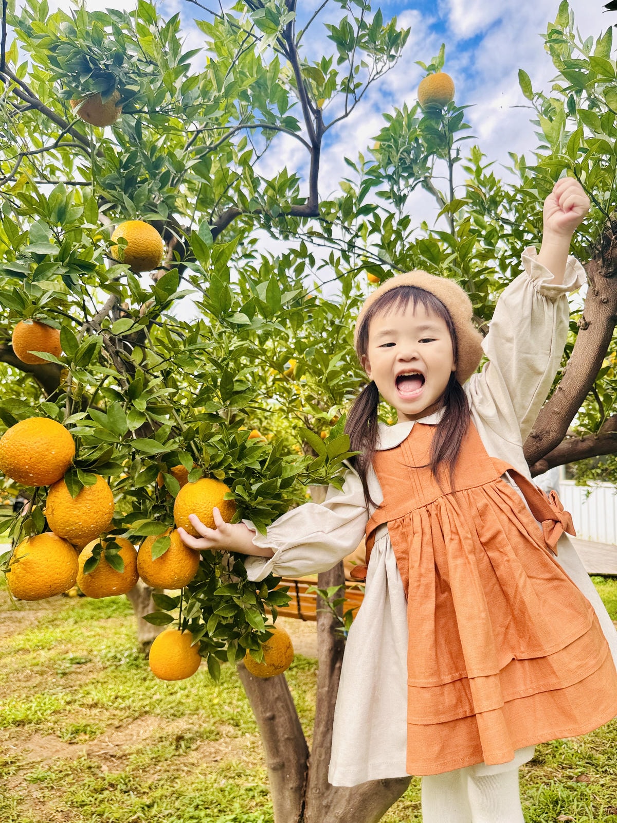 ★苗栗親子景點推薦★台版濟州島『橙香森林』橘子園，一年四季全