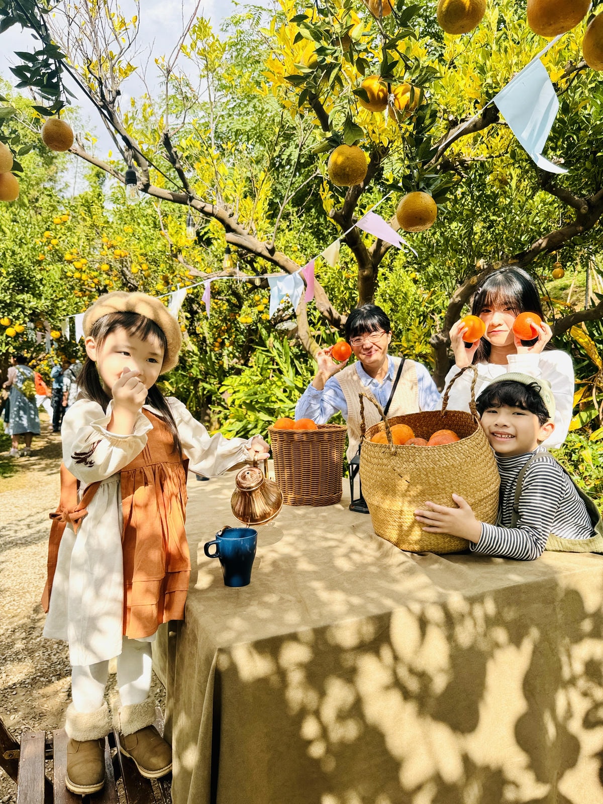 ★苗栗親子景點推薦★台版濟州島『橙香森林』橘子園，一年四季全