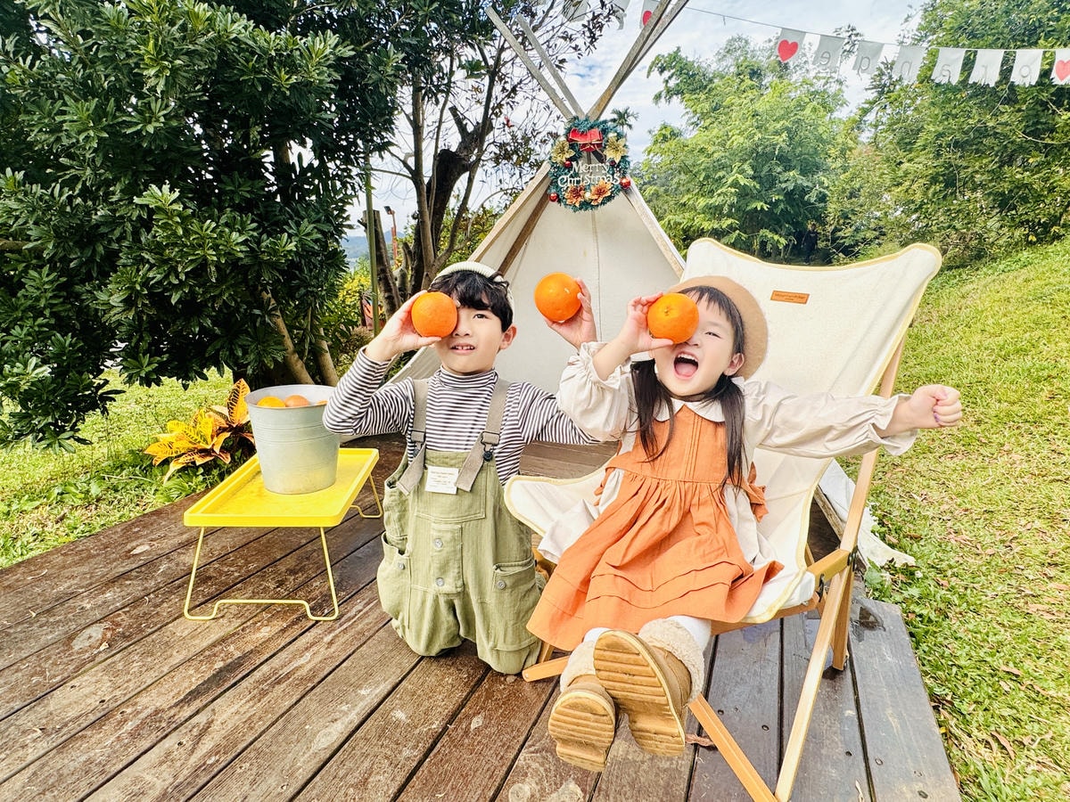 ★苗栗親子景點推薦★台版濟州島『橙香森林』橘子園，一年四季全