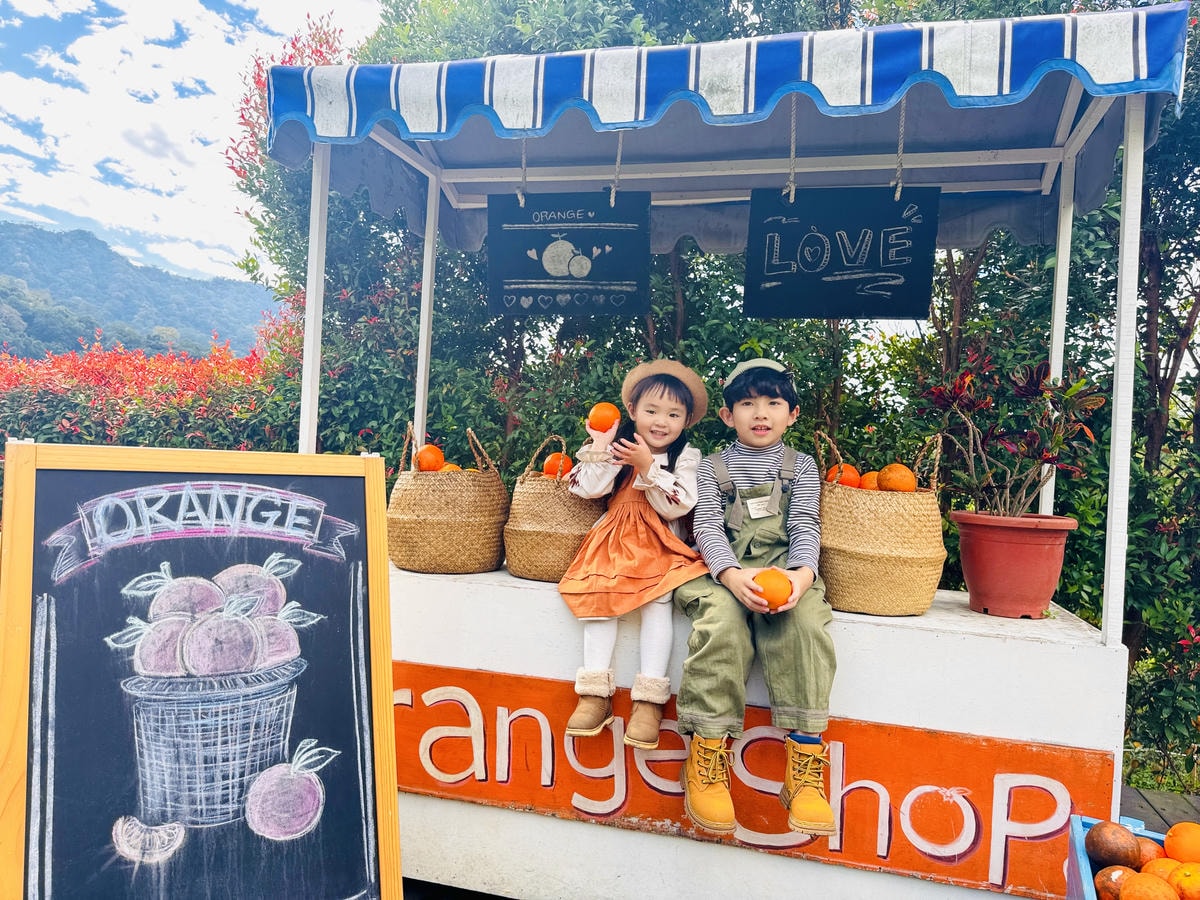 ★苗栗親子景點推薦★台版濟州島『橙香森林』橘子園，一年四季全