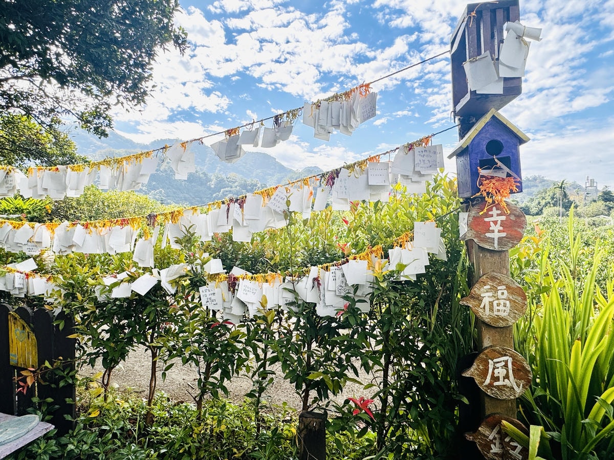 ★苗栗親子景點推薦★台版濟州島『橙香森林』橘子園，一年四季全
