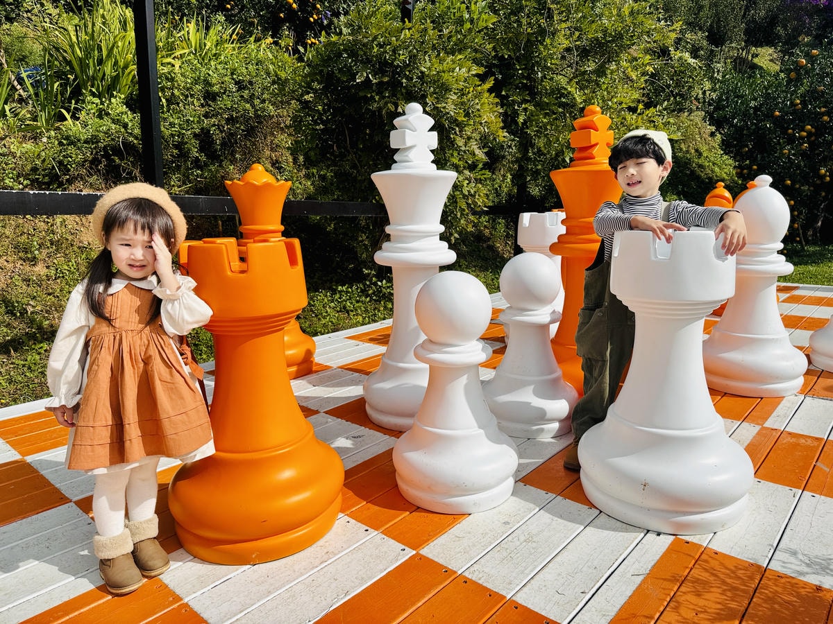 ★苗栗親子景點推薦★台版濟州島『橙香森林』橘子園，一年四季全