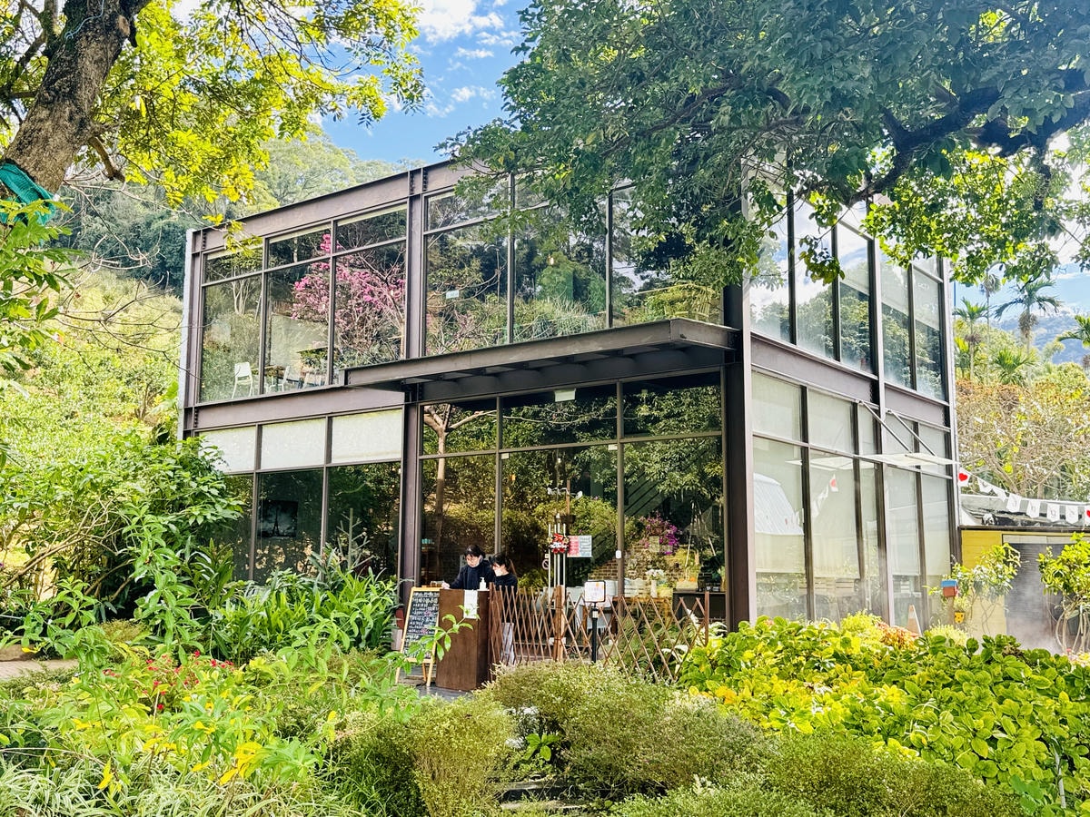 ★苗栗親子景點推薦★台版濟州島『橙香森林』橘子園，一年四季全