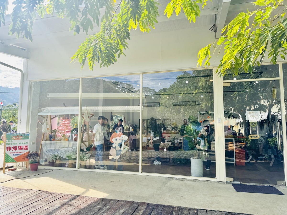 ★苗栗親子景點推薦★台版濟州島『橙香森林』橘子園，一年四季全