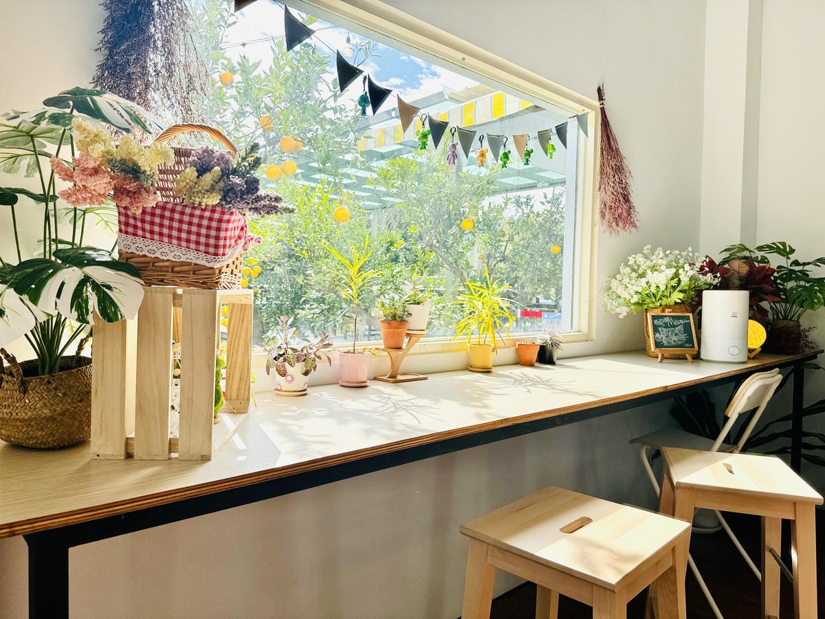 ★苗栗親子景點推薦★台版濟州島『橙香森林』橘子園，一年四季全