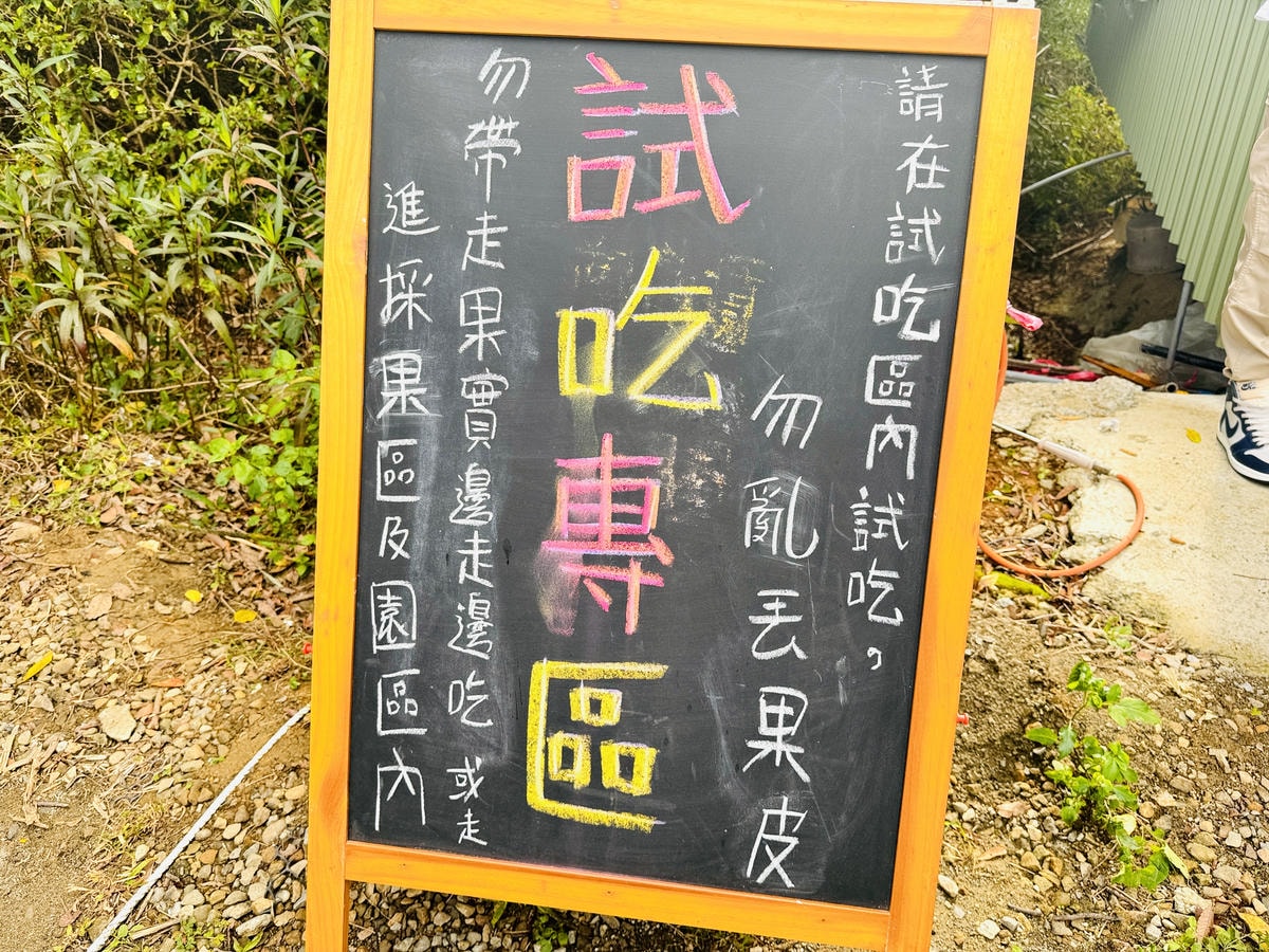 ★苗栗親子景點推薦★台版濟州島『橙香森林』橘子園，一年四季全