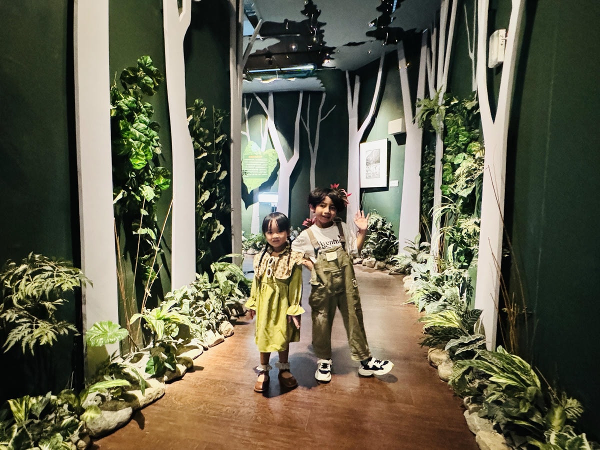 ★苗栗親子景點推薦★Wakhul親子公園、泰雅文物館,免門票 ★苗栗親子景點推薦★Wakhul親子公園、泰雅文物館,免門票