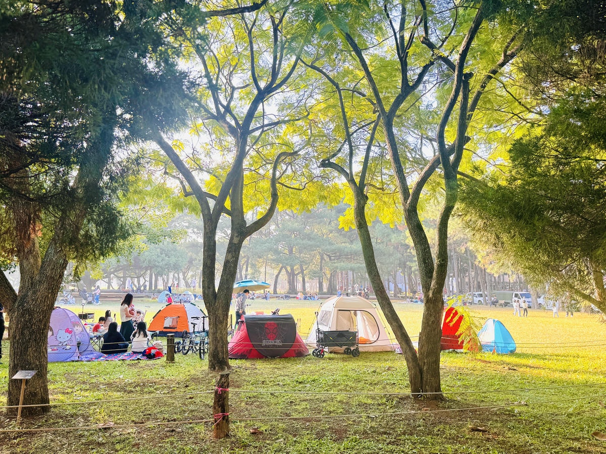 ★桃園親子景點推薦★桃園最新特色公園『龍潭運動公園』全面翻新