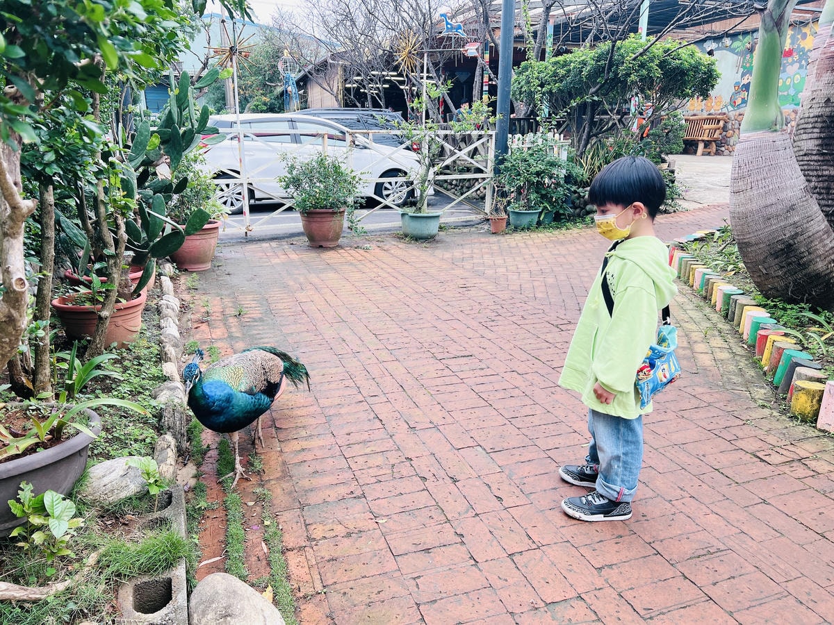 ★桃園●羊世界牧場&勇伯台灣羊餐廳*國小以下免費入園,花百元 ★桃園●羊世界牧場&勇伯台灣羊餐廳*國小以下免費入園,花百元