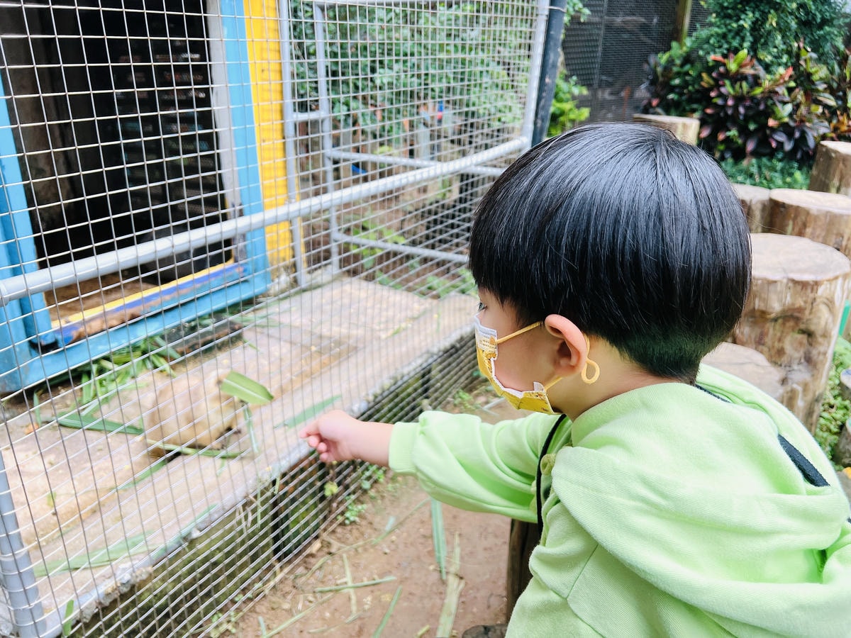 ★桃園●羊世界牧場&勇伯台灣羊餐廳*國小以下免費入園,花百元 ★桃園●羊世界牧場&勇伯台灣羊餐廳*國小以下免費入園,花百元