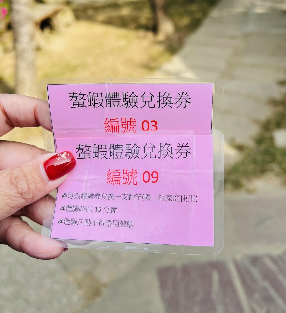 ★嘉義●中埔*獨角仙休閒農場*滑草、釣鰲蝦、餵羊駝、生態導覽 ★嘉義●中埔*獨角仙休閒農場*滑草、釣鰲蝦、餵羊駝、生態導覽