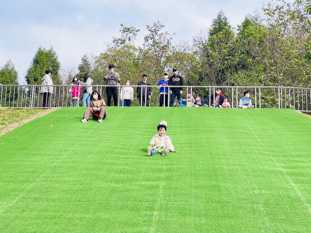★嘉義●中埔*獨角仙休閒農場*滑草、釣鰲蝦、餵羊駝、生態導覽 ★嘉義●中埔*獨角仙休閒農場*滑草、釣鰲蝦、餵羊駝、生態導覽