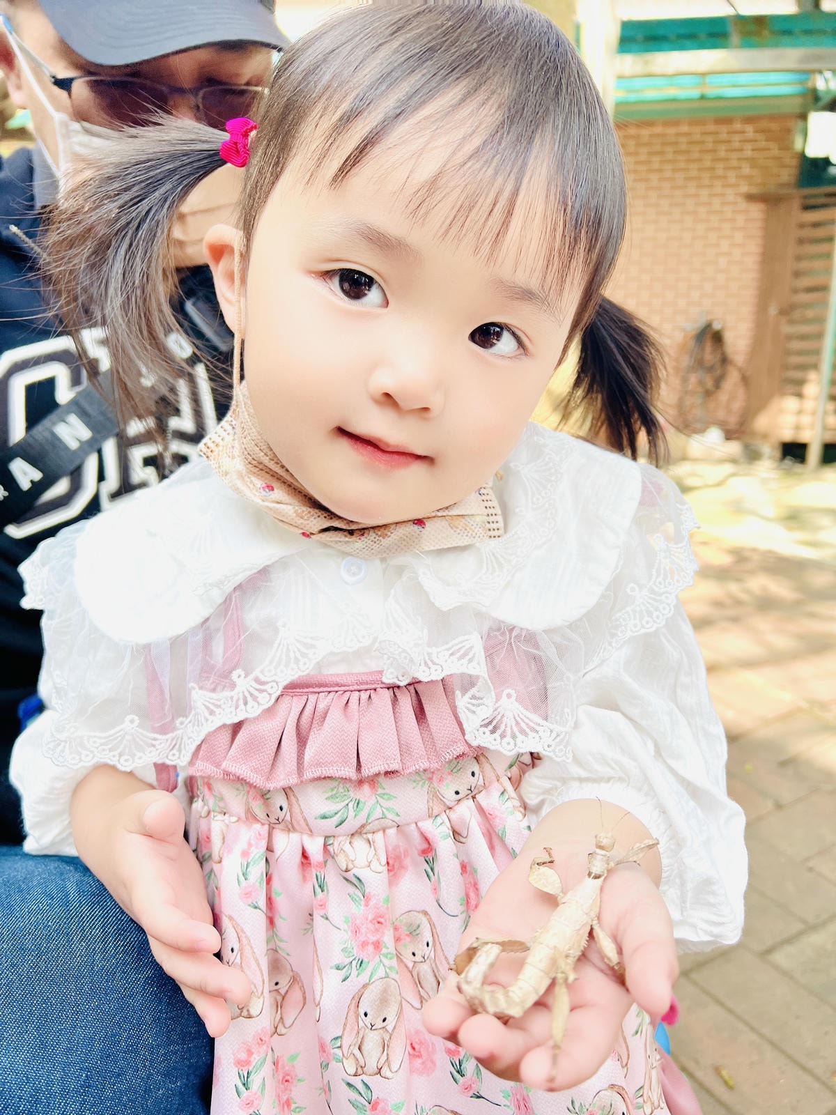 ★嘉義●中埔*獨角仙休閒農場*滑草、釣鰲蝦、餵羊駝、生態導覽 ★嘉義●中埔*獨角仙休閒農場*滑草、釣鰲蝦、餵羊駝、生態導覽