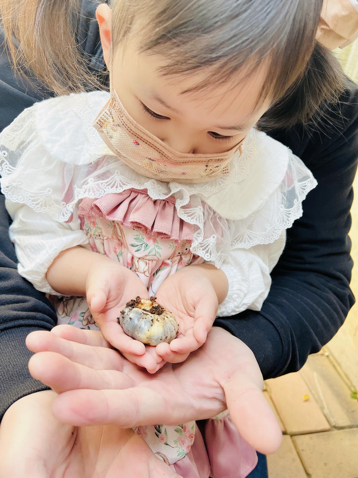 ★嘉義●中埔*獨角仙休閒農場*滑草、釣鰲蝦、餵羊駝、生態導覽 ★嘉義●中埔*獨角仙休閒農場*滑草、釣鰲蝦、餵羊駝、生態導覽