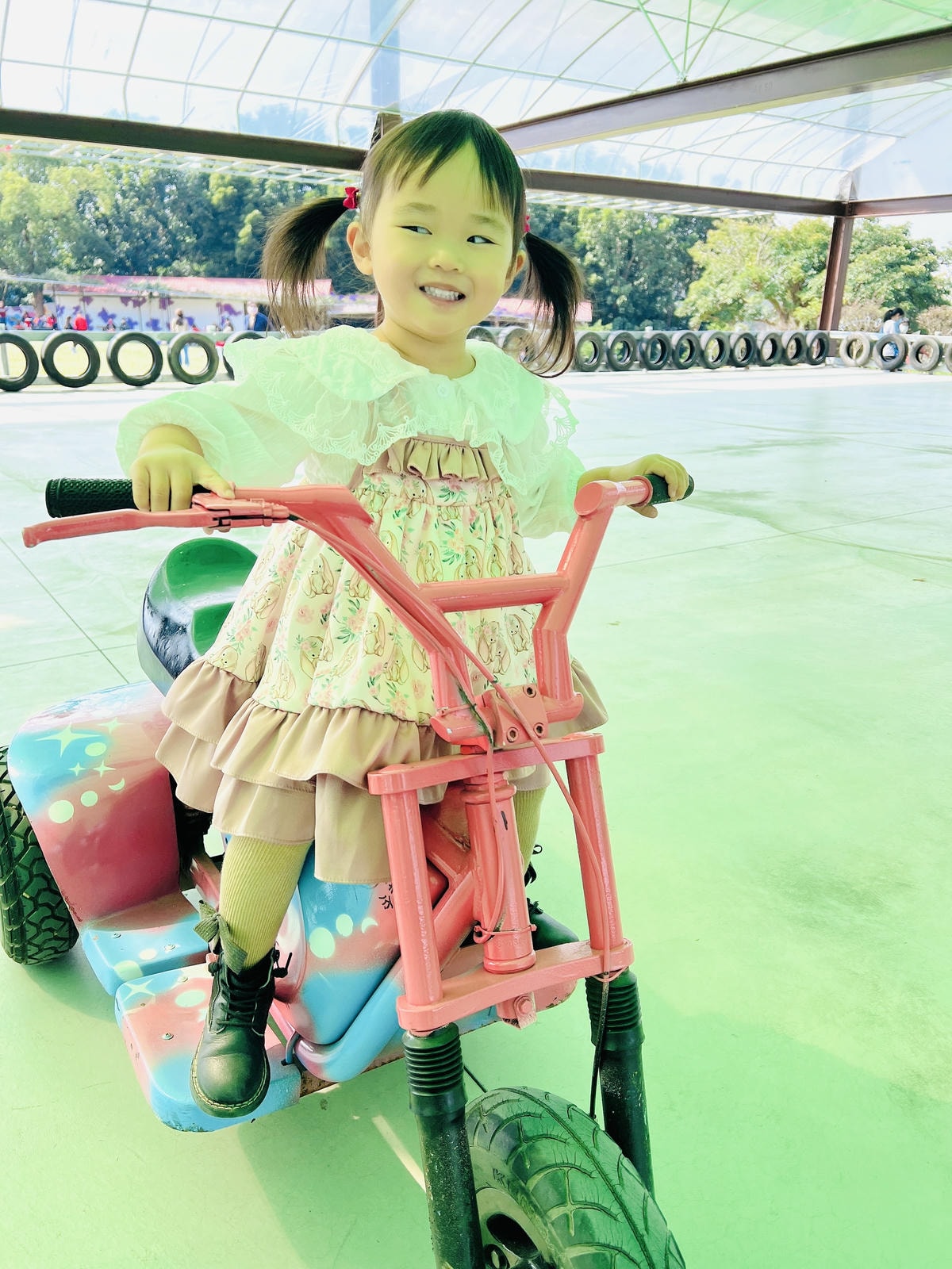 ★嘉義●中埔*獨角仙休閒農場*滑草、釣鰲蝦、餵羊駝、生態導覽 ★嘉義●中埔*獨角仙休閒農場*滑草、釣鰲蝦、餵羊駝、生態導覽