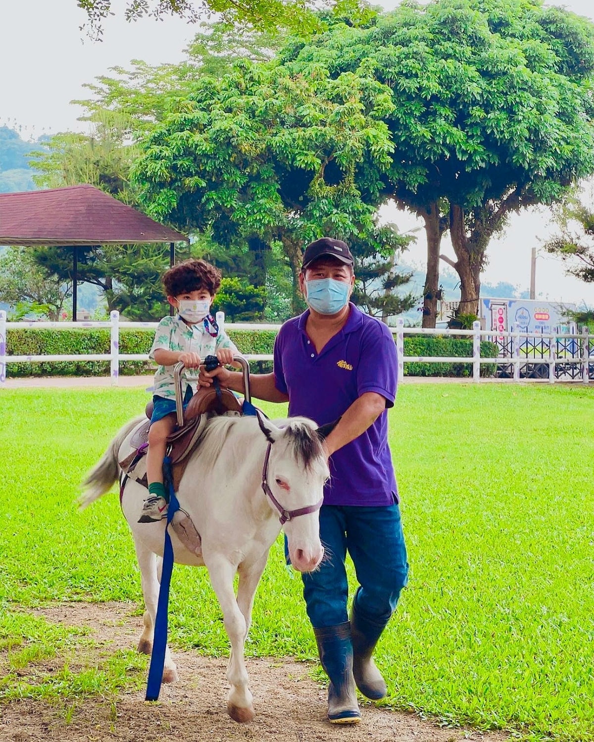 ★嘉義●中埔*獨角仙休閒農場*滑草、釣鰲蝦、餵羊駝、生態導覽 ★嘉義●中埔*獨角仙休閒農場*滑草、釣鰲蝦、餵羊駝、生態導覽