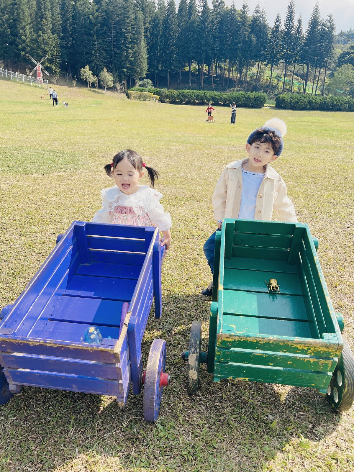 ★嘉義●中埔*獨角仙休閒農場*滑草、釣鰲蝦、餵羊駝、生態導覽 ★嘉義●中埔*獨角仙休閒農場*滑草、釣鰲蝦、餵羊駝、生態導覽