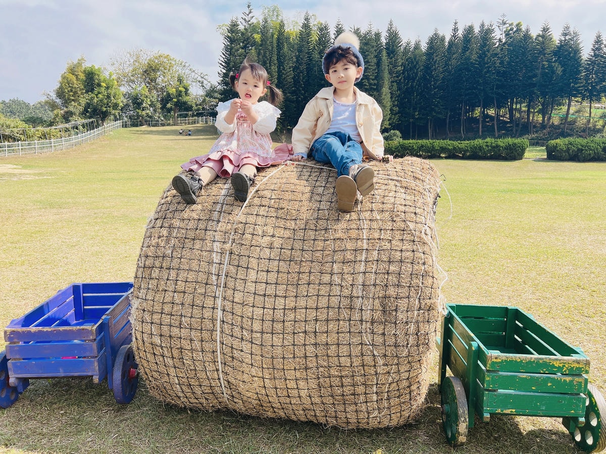 ★嘉義●中埔*獨角仙休閒農場*滑草、釣鰲蝦、餵羊駝、生態導覽 ★嘉義●中埔*獨角仙休閒農場*滑草、釣鰲蝦、餵羊駝、生態導覽