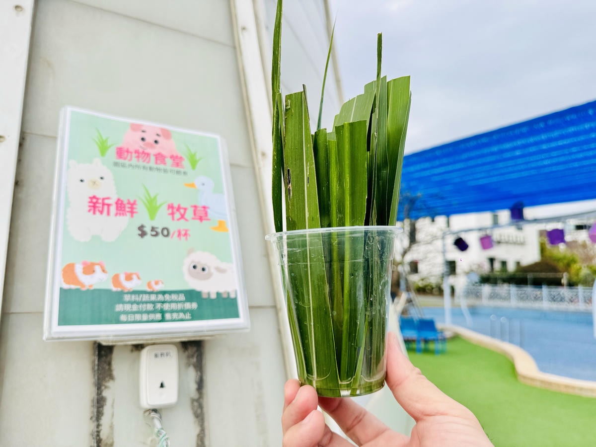 ★彰化親子景點推薦★『琉璃仙境』美照戲水放電一把抓