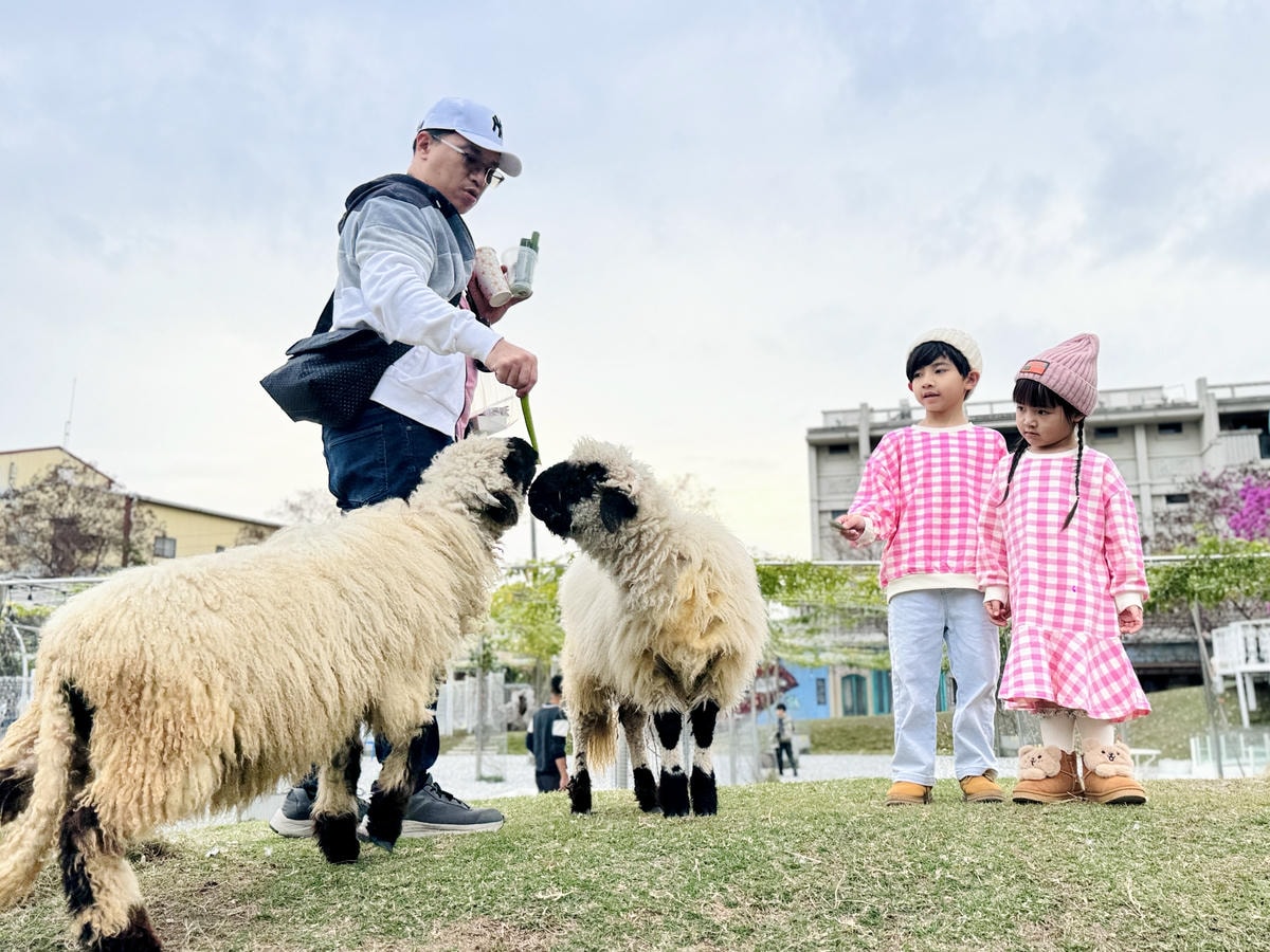 ★彰化親子景點推薦★『琉璃仙境』美照戲水放電一把抓