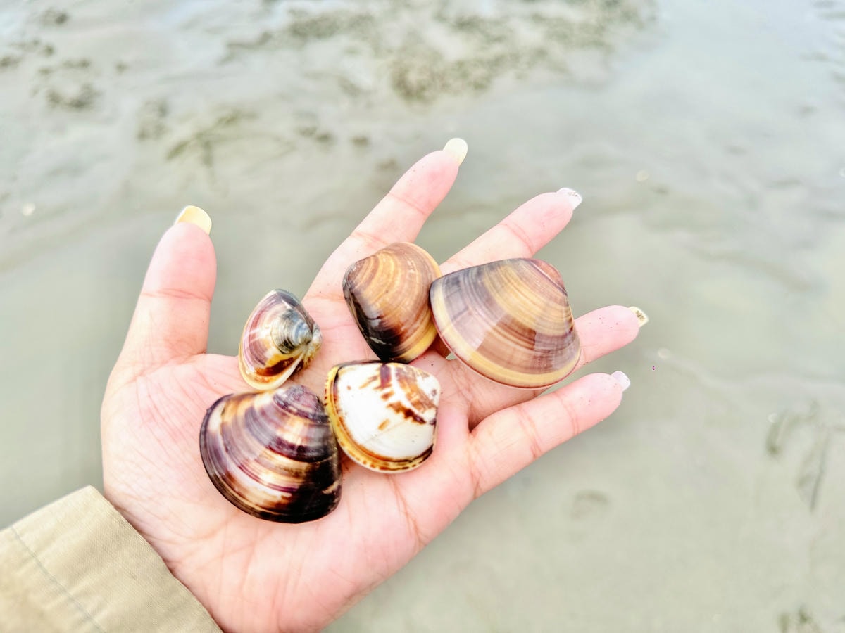 ★彰化親子景點★王功漁港, ★彰化親子景點★王功漁港,