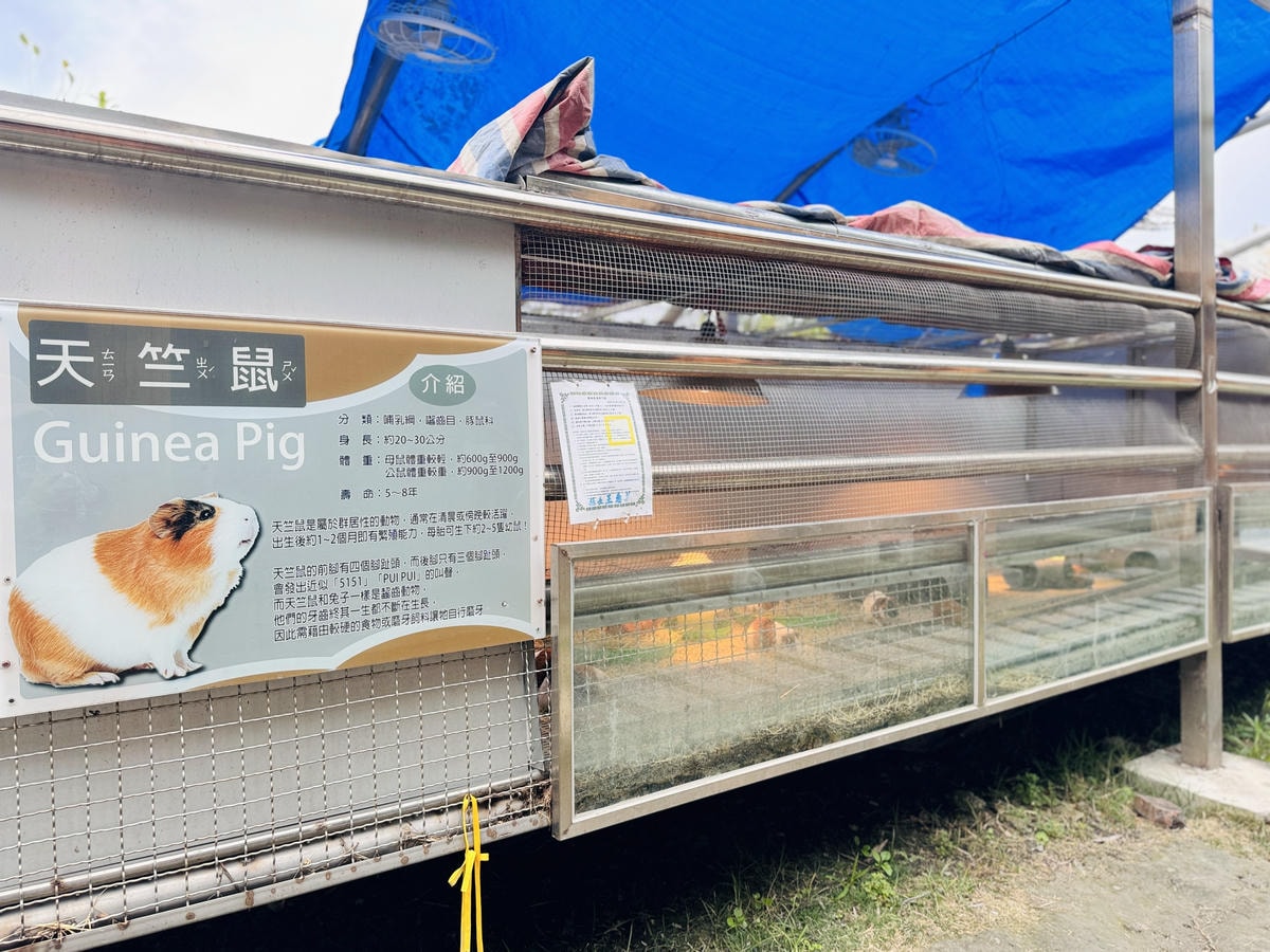 ★彰化親子景點推薦★『琉璃仙境』美照戲水放電一把抓