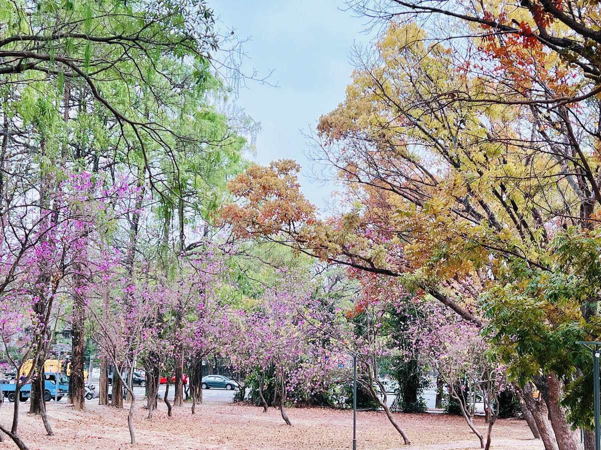 ★雲林親子景點推薦★ ★雲林親子景點推薦★