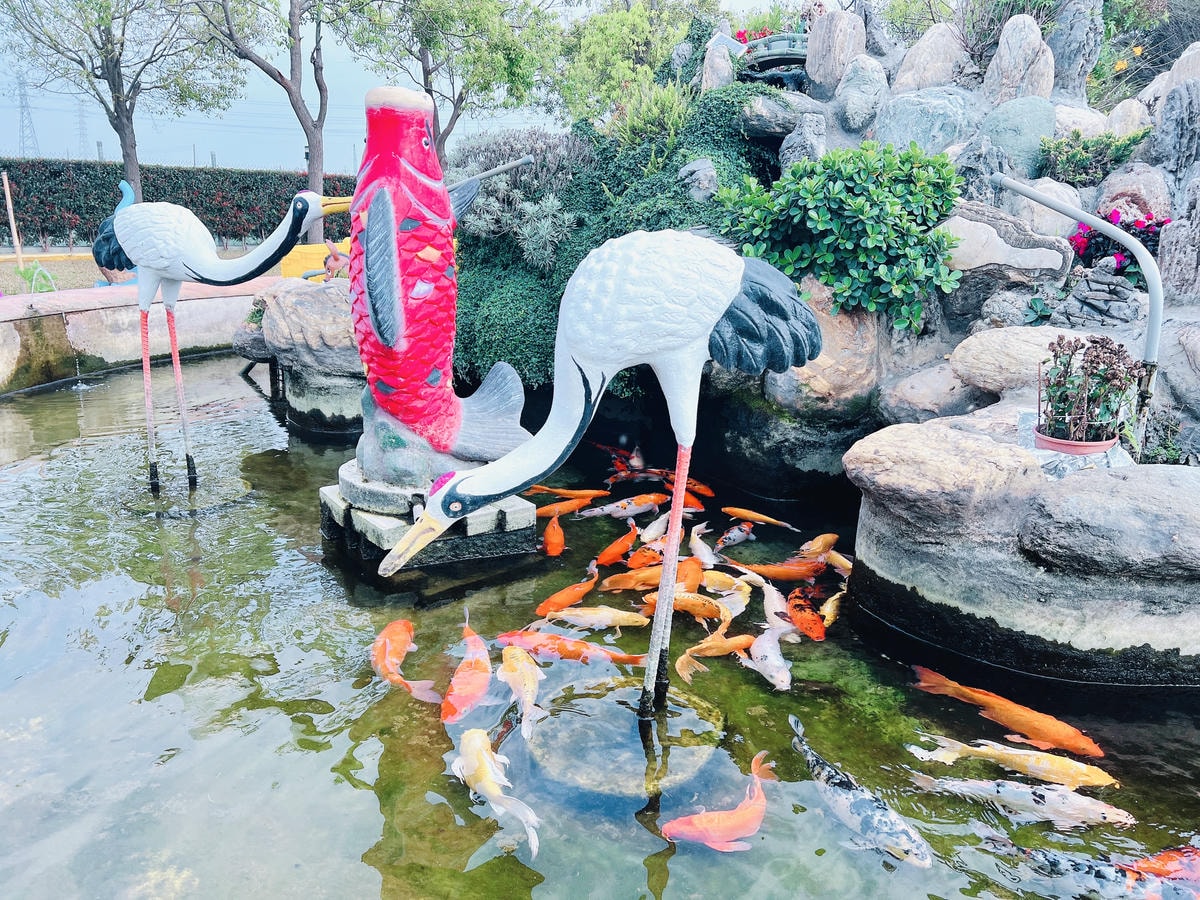 ★彰化●長頸鹿休閒農場*週末限定親子點,親子手搖船、電動車、 ★彰化●長頸鹿休閒農場*週末限定親子點,親子手搖船、電動車、