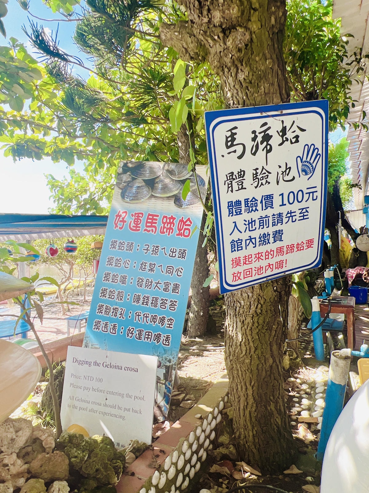 ★雲林親子景點推薦★『 馬蹄蛤主題館 』世界上最大的“ 蛤 ★雲林親子景點推薦★『 馬蹄蛤主題館 』世界上最大的“ 蛤