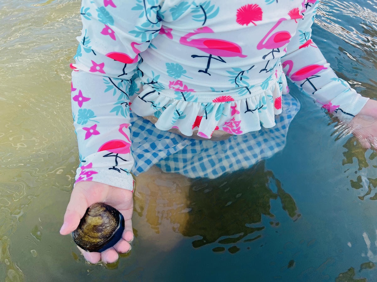 ★雲林親子景點推薦★『 馬蹄蛤主題館 』世界上最大的“ 蛤 ★雲林親子景點推薦★『 馬蹄蛤主題館 』世界上最大的“ 蛤