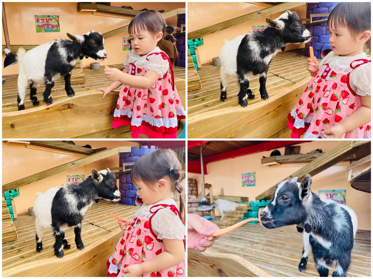 ★南投親子景點推薦★『 星月天空景觀餐廳 』超人氣景點,南投 ★南投親子景點推薦★『 星月天空景觀餐廳 』超人氣景點,南投