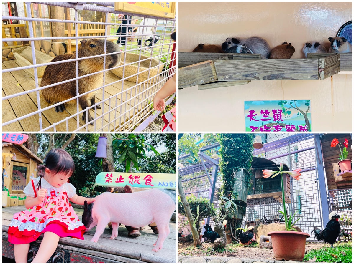 ★南投親子景點推薦★『 星月天空景觀餐廳 』超人氣景點,南投 ★南投親子景點推薦★『 星月天空景觀餐廳 』超人氣景點,南投