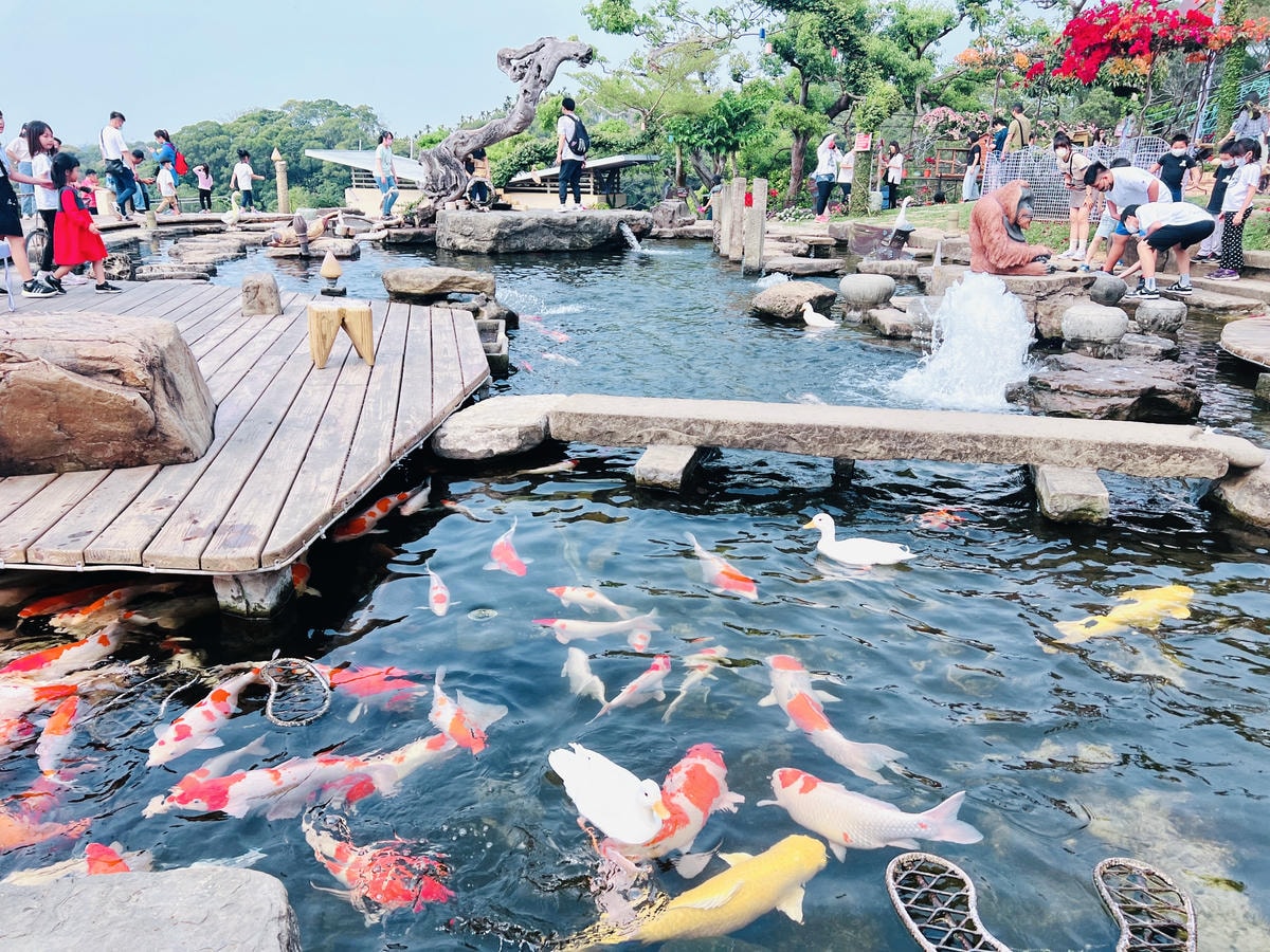 ★南投親子景點推薦★『 星月天空景觀餐廳 』超人氣景點,南投 ★南投親子景點推薦★『 星月天空景觀餐廳 』超人氣景點,南投