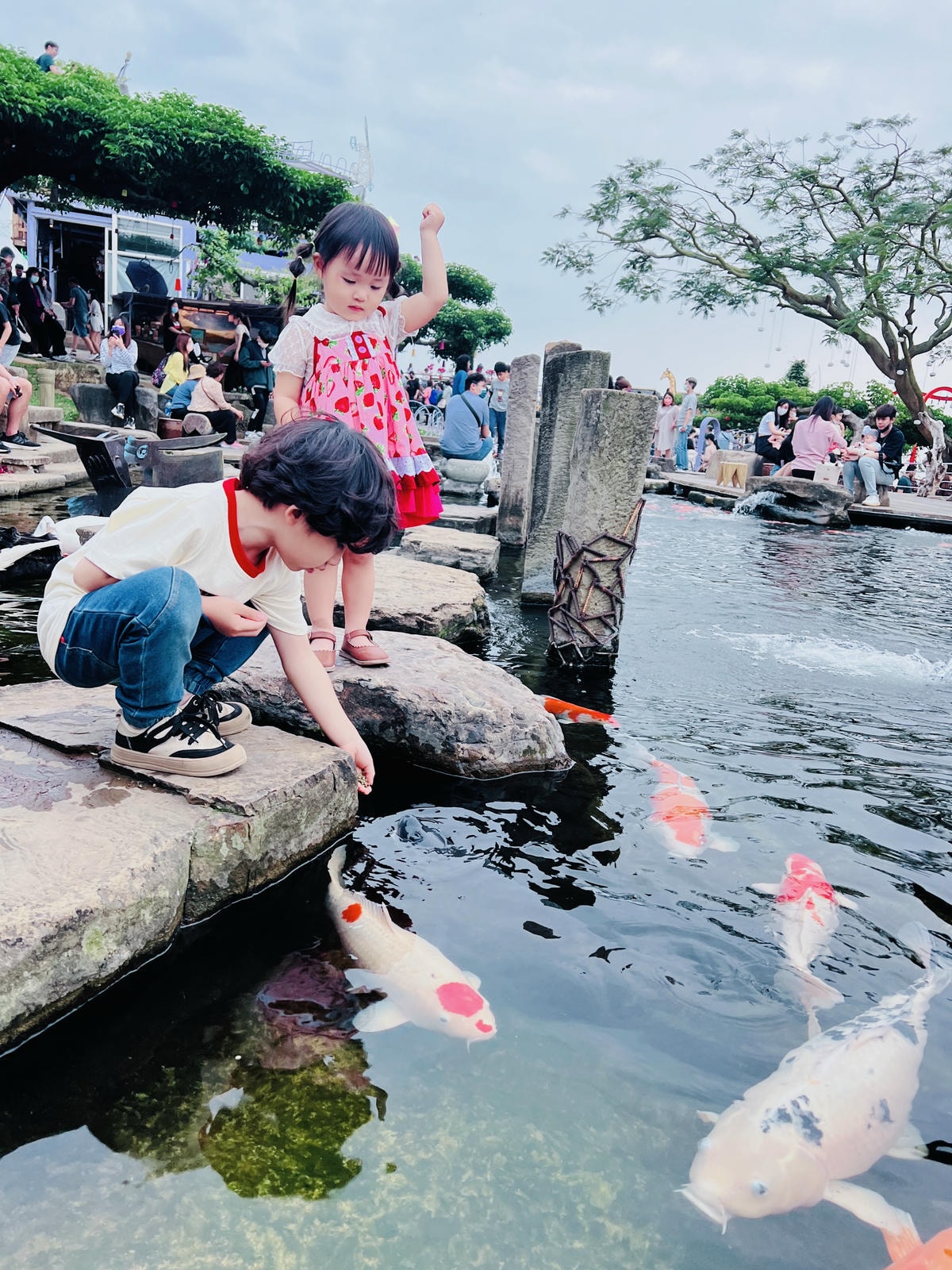 ★南投親子景點推薦★『 星月天空景觀餐廳 』超人氣景點,南投 ★南投親子景點推薦★『 星月天空景觀餐廳 』超人氣景點,南投