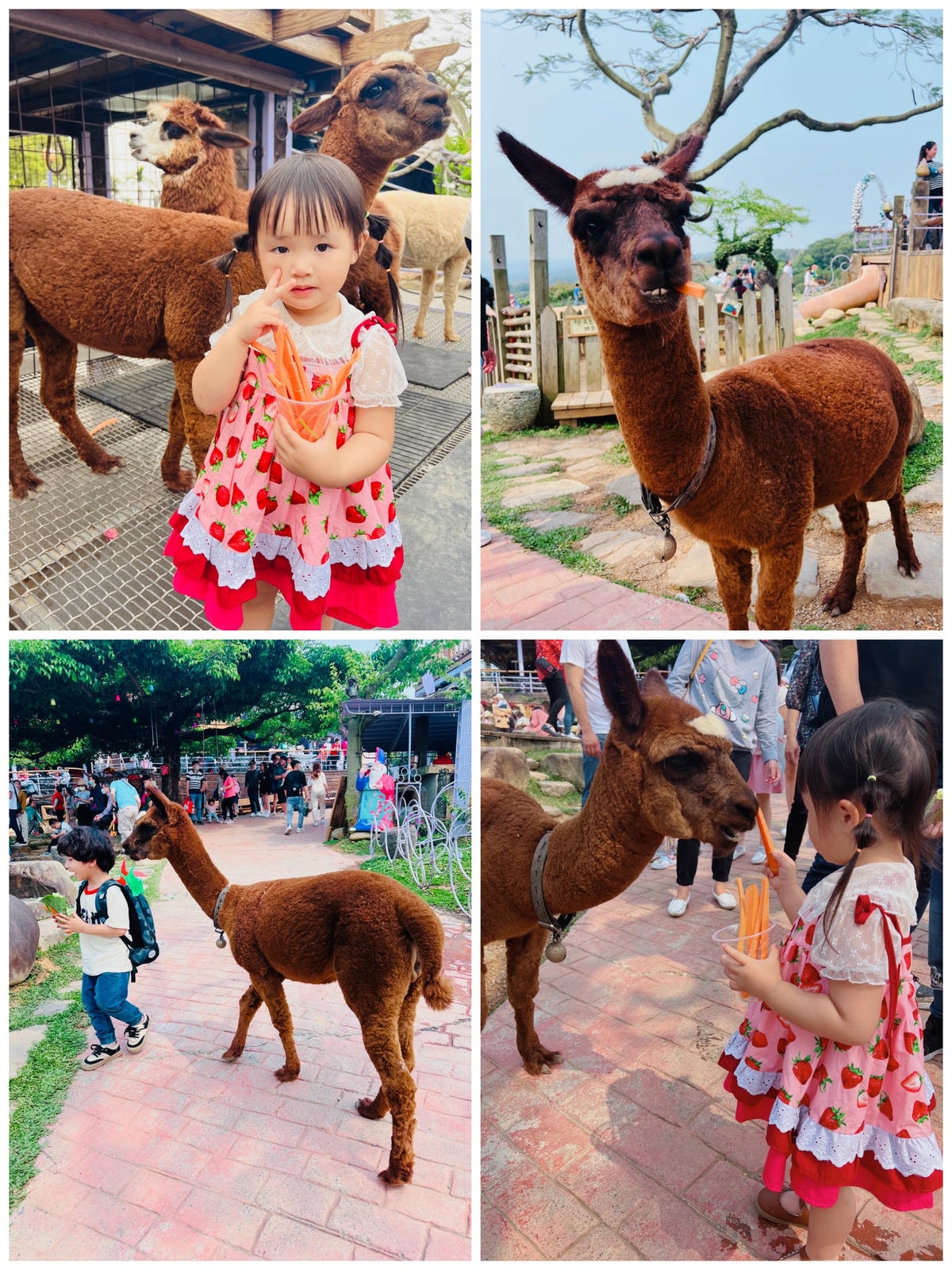 ★南投親子景點推薦★『 星月天空景觀餐廳 』超人氣景點,南投 ★南投親子景點推薦★『 星月天空景觀餐廳 』超人氣景點,南投