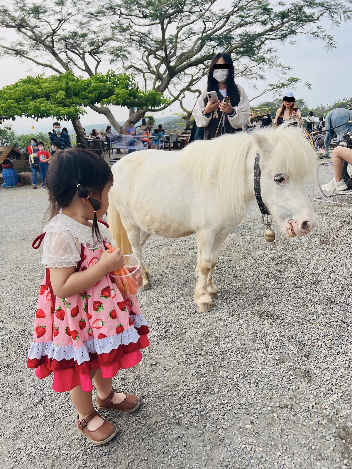 ★南投親子景點推薦★『 星月天空景觀餐廳 』超人氣景點,南投 ★南投親子景點推薦★『 星月天空景觀餐廳 』超人氣景點,南投