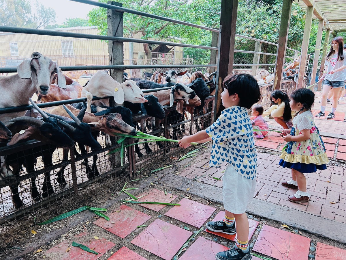 ★台中親子景點推薦★免費親子農場『益健乳羊牧場』可以餵食羊咩