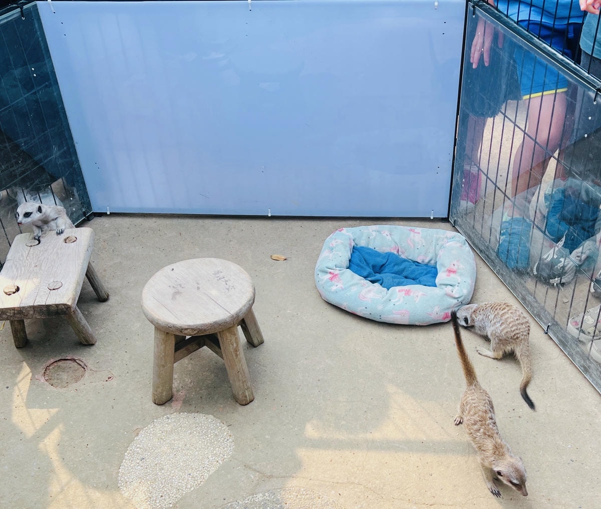 ★南投親子景點推薦★『 星月天空景觀餐廳 』超人氣景點,南投 ★南投親子景點推薦★『 星月天空景觀餐廳 』超人氣景點,南投