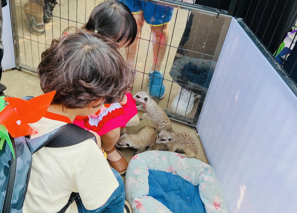 ★南投親子景點推薦★『 星月天空景觀餐廳 』超人氣景點,南投 ★南投親子景點推薦★『 星月天空景觀餐廳 』超人氣景點,南投