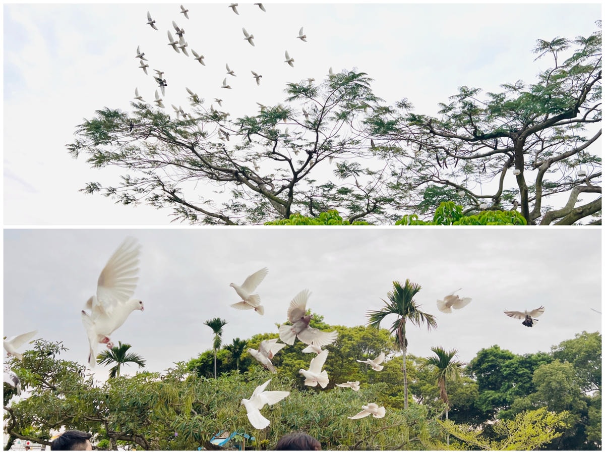 ★南投親子景點推薦★『 星月天空景觀餐廳 』超人氣景點,南投 ★南投親子景點推薦★『 星月天空景觀餐廳 』超人氣景點,南投