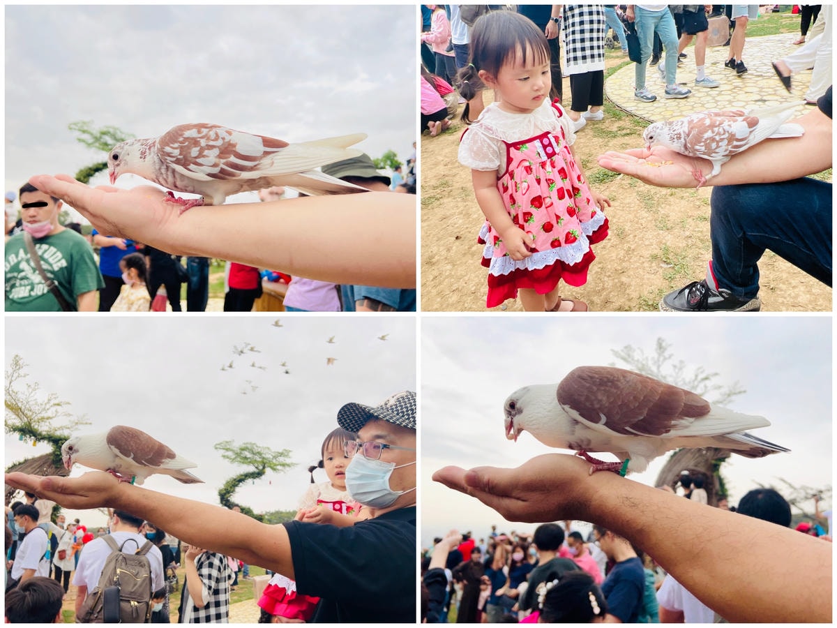 ★南投親子景點推薦★『 星月天空景觀餐廳 』超人氣景點,南投 ★南投親子景點推薦★『 星月天空景觀餐廳 』超人氣景點,南投