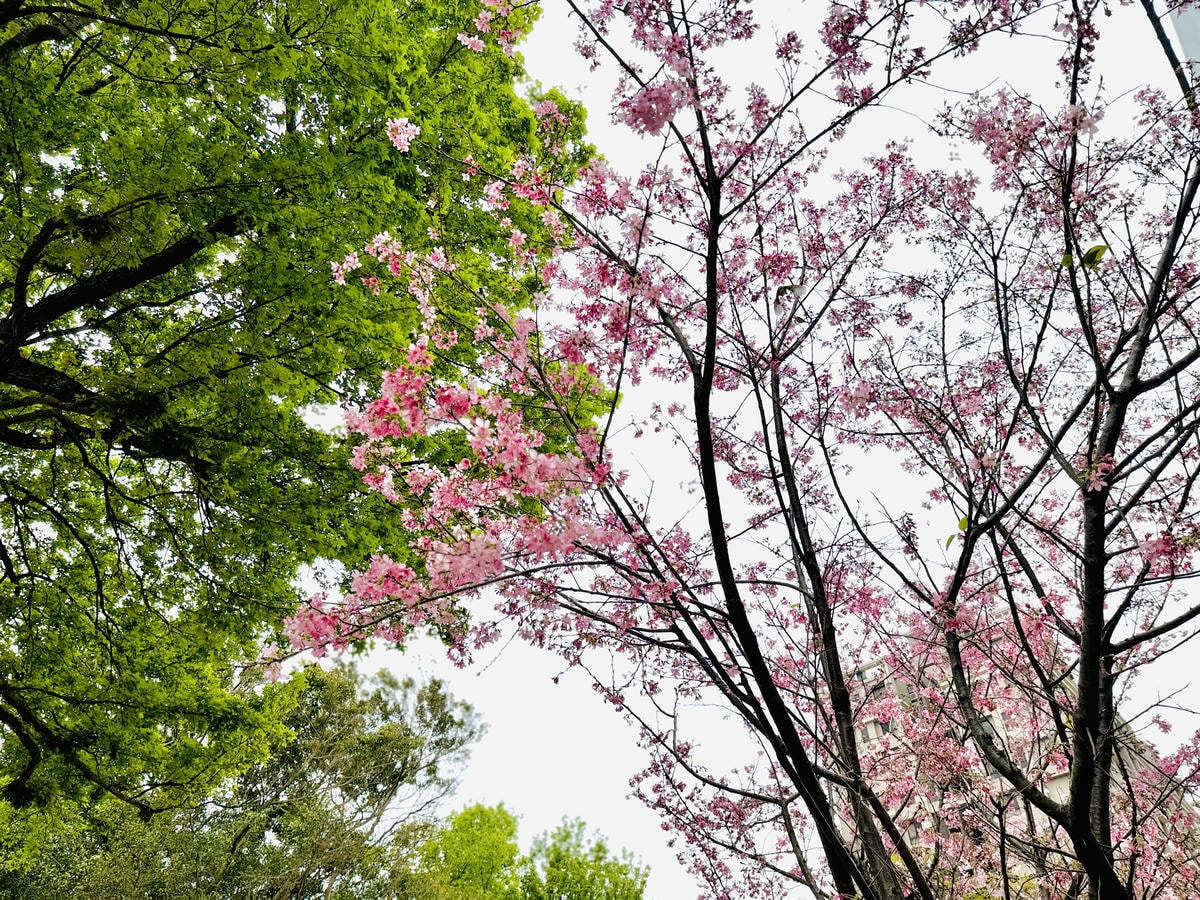 ★桃園親子景點推薦★桃園楊梅最新首座特色旗艦公園『四維兒童公 ★桃園親子景點推薦★桃園楊梅最新首座特色旗艦公園『四維兒童公