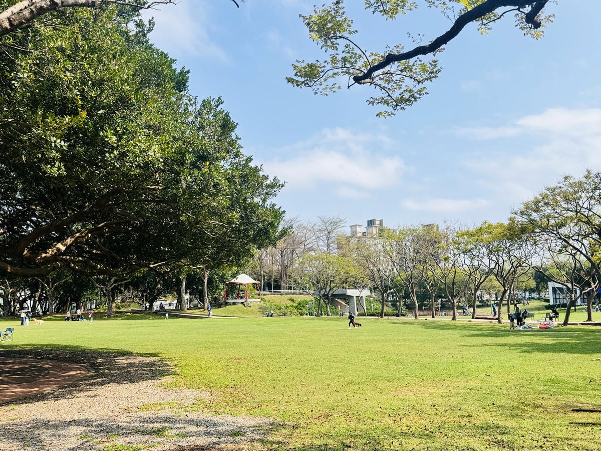 ★桃園親子景點推薦★桃園最新最大特色旗艦遊戲場『陽明運動公園