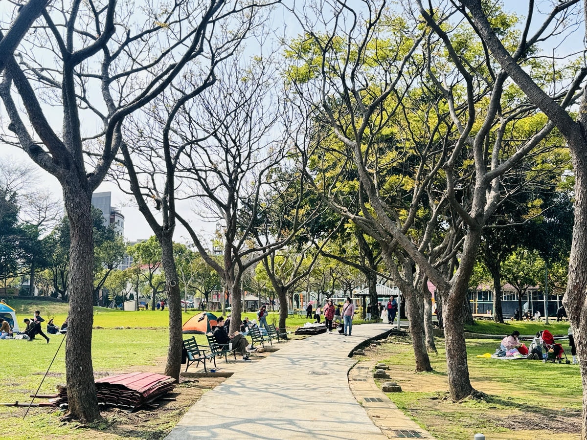 ★桃園親子景點推薦★桃園最新最大特色旗艦遊戲場『陽明運動公園