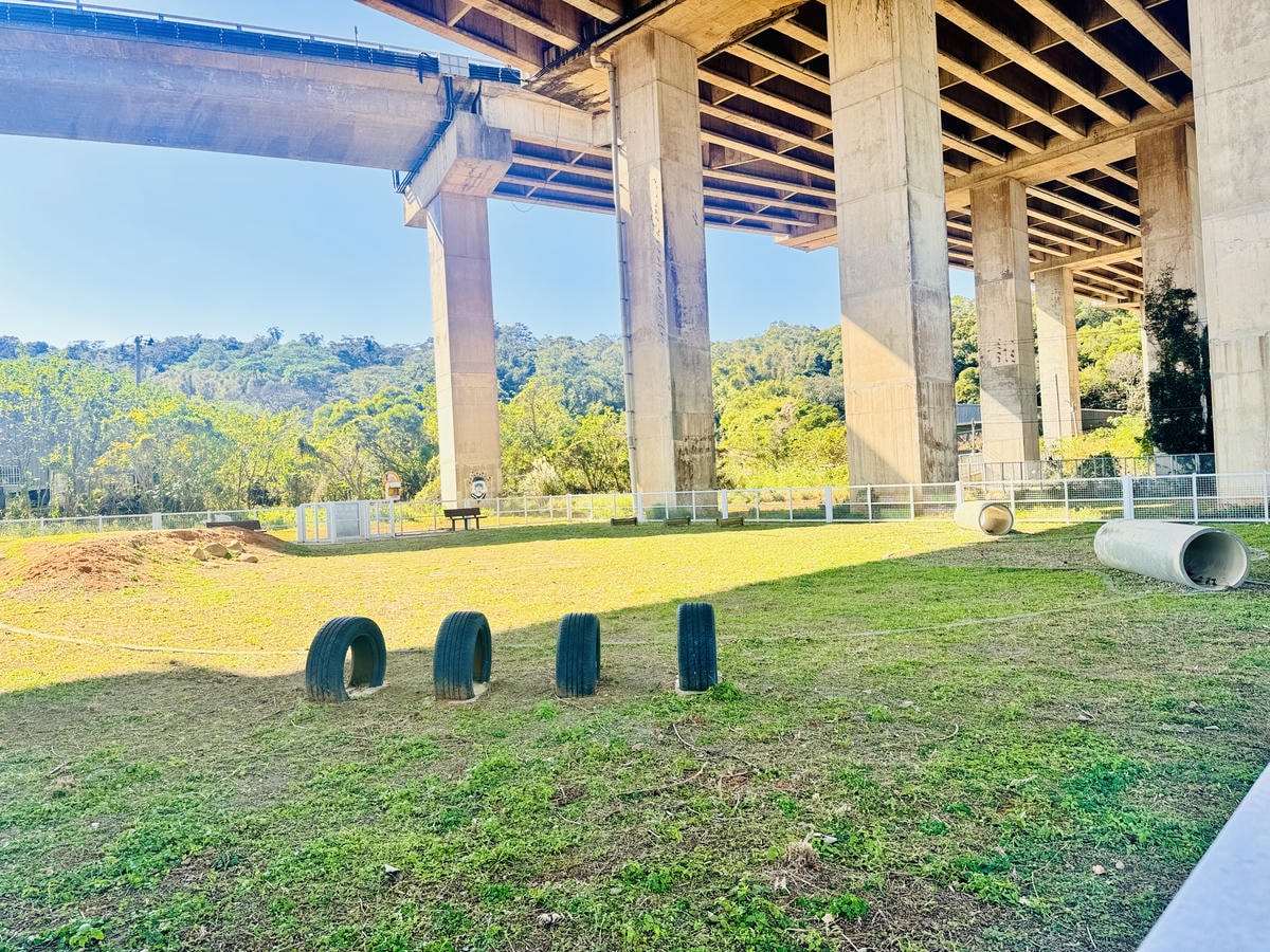 ★桃園親子景點推薦★桃園最新特色遊戲場『平鎮運動公園』,全新 ★桃園親子景點推薦★桃園最新特色遊戲場『平鎮運動公園』,全新
