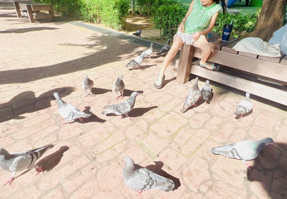 ★桃園★同安親子公園*鄰近全台最美圖書館的小綠地,溜滑梯、立 ★桃園★同安親子公園*鄰近全台最美圖書館的小綠地,溜滑梯、立