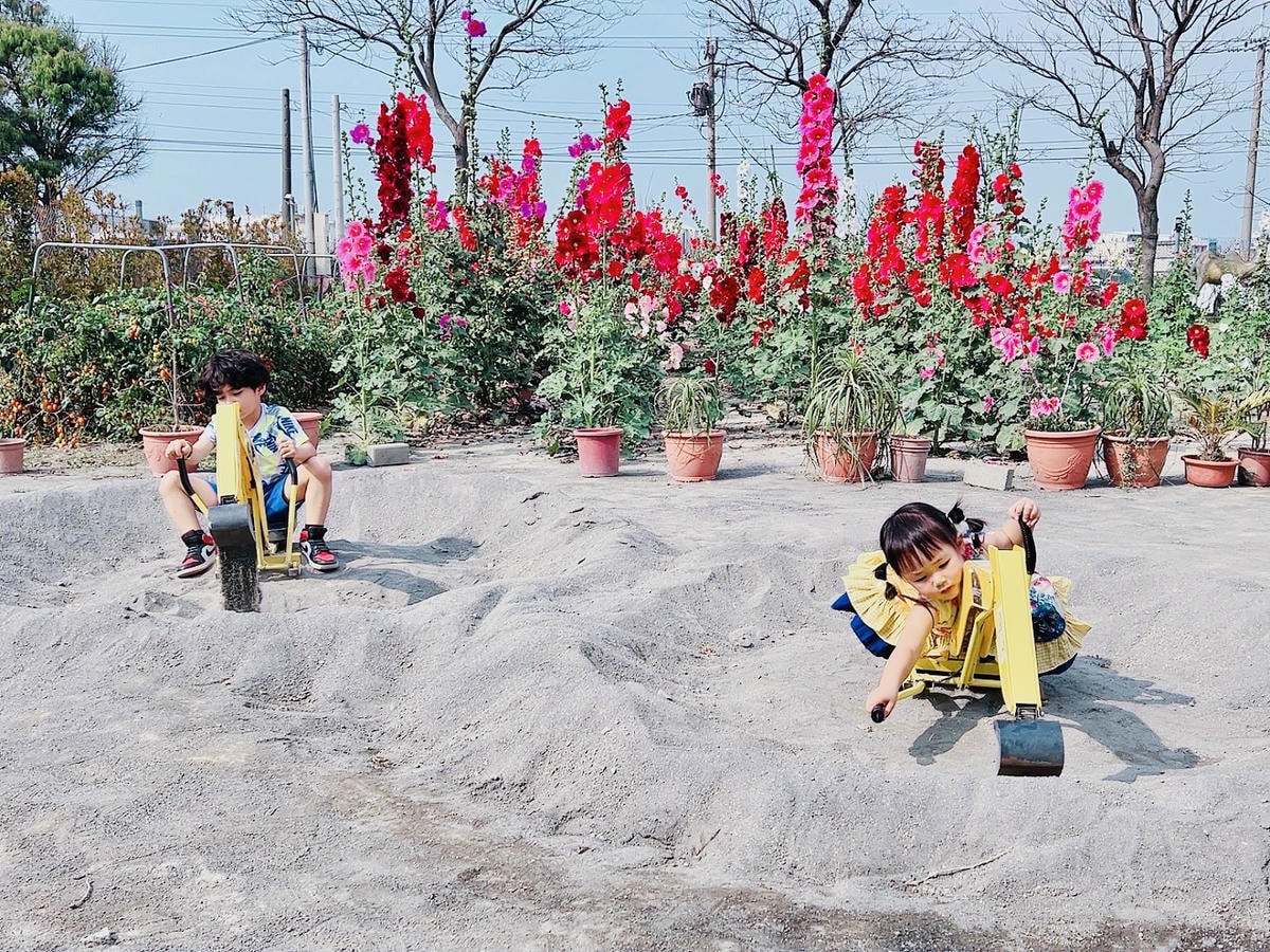★彰化●長頸鹿休閒農場*週末限定親子點,親子手搖船、電動車、 ★彰化●長頸鹿休閒農場*週末限定親子點,親子手搖船、電動車、