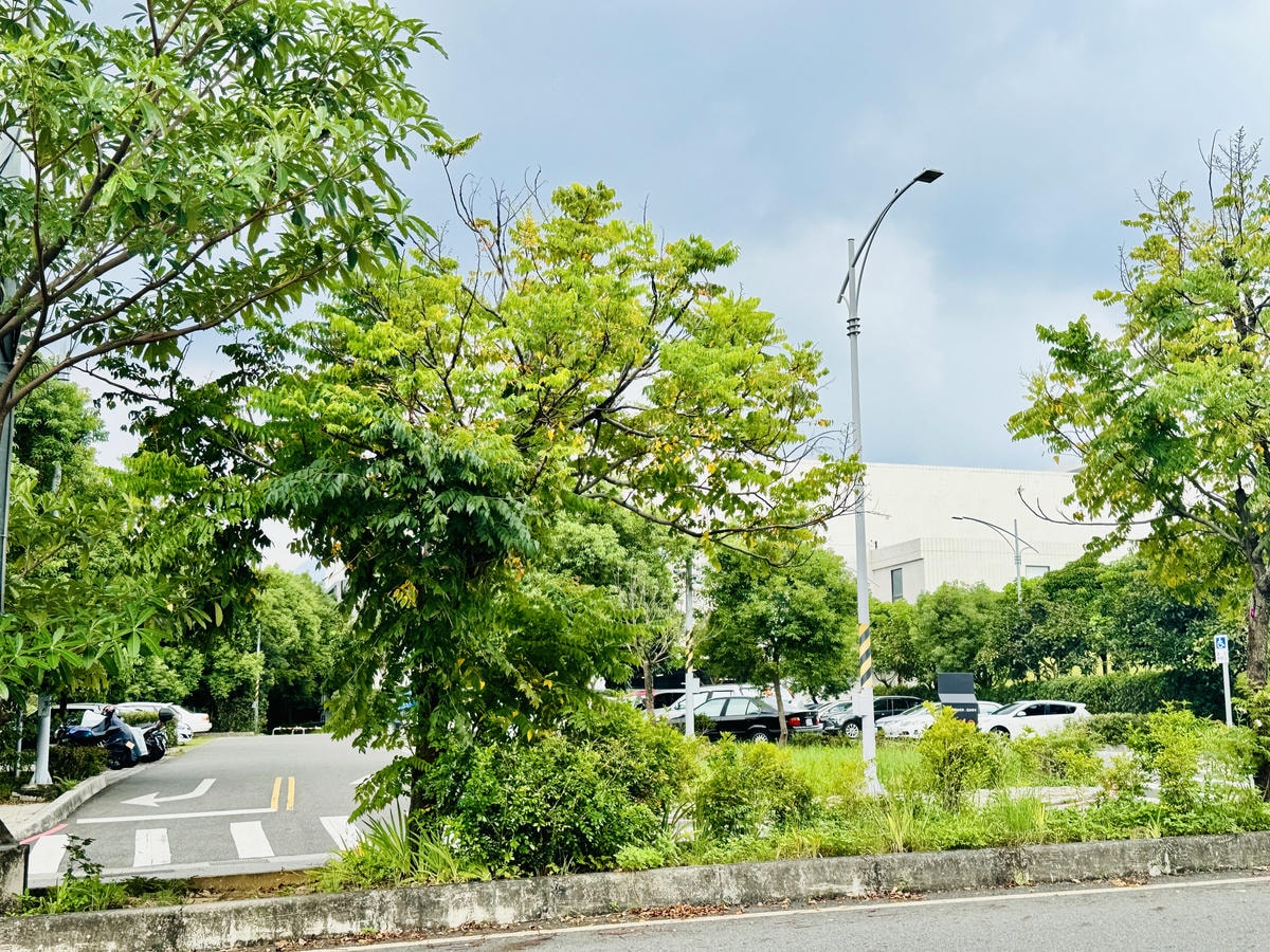 ★嘉義親子景點推薦★『 民雄金桔觀光工廠 』免門票還能免費試